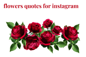 flowers quotes for instagram