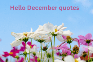 Hello December quotes