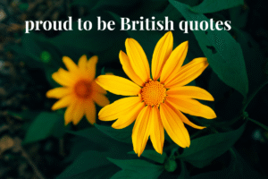 proud to be British quotes